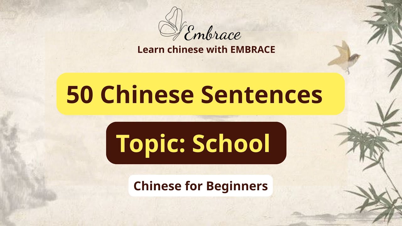 50 Chinese Sentences - SCHOOL  Topic | Chinese for Beginners
