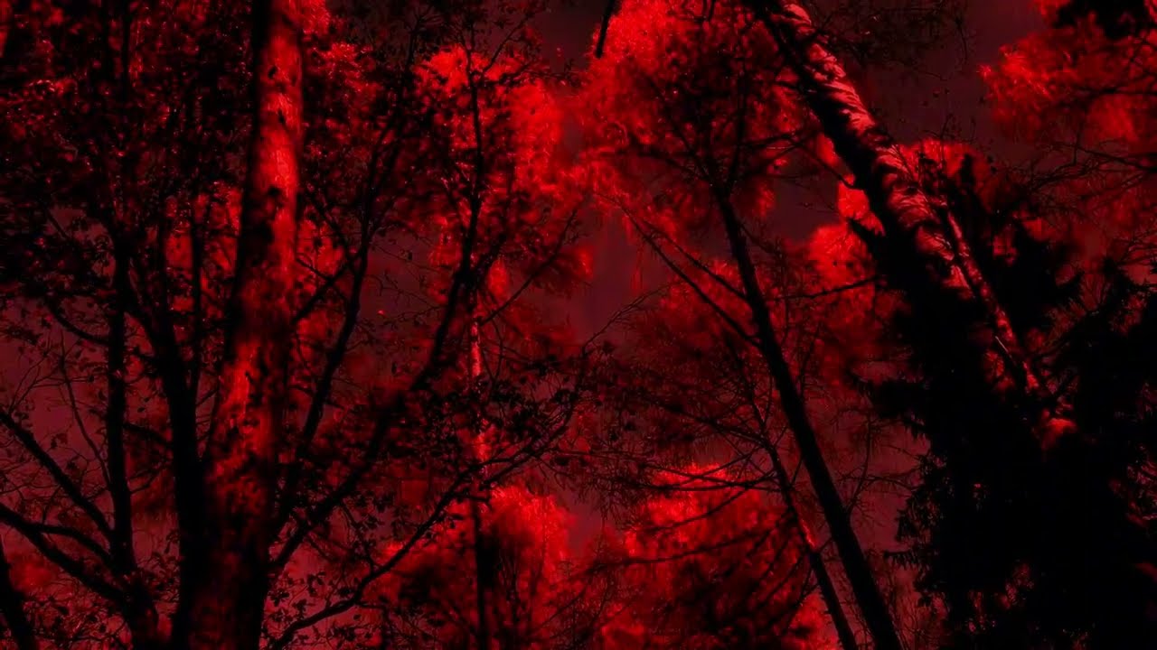 Stagg - Untitled (prod. or.1ove)