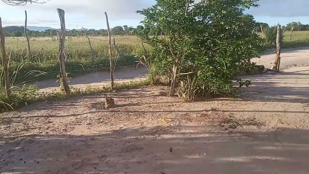 Bom Dia chegou a hora de lavar roupa 