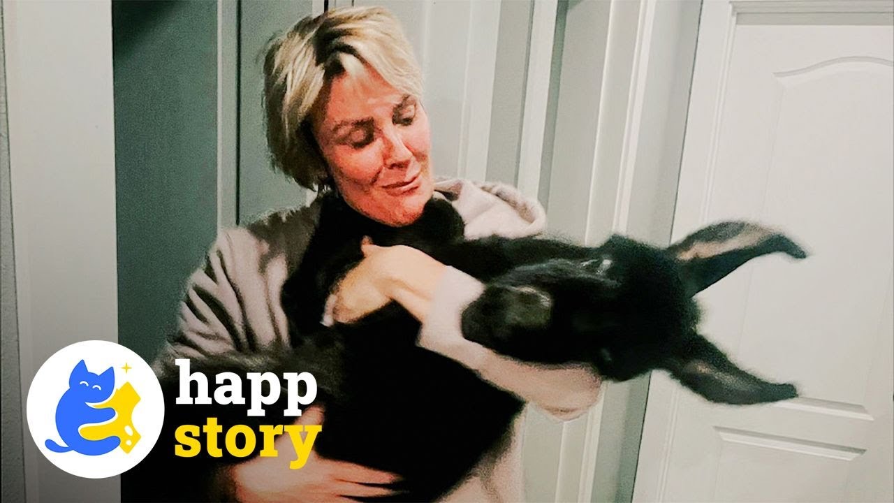 Abandoned Donkey Lives Inside the House! | HAPP