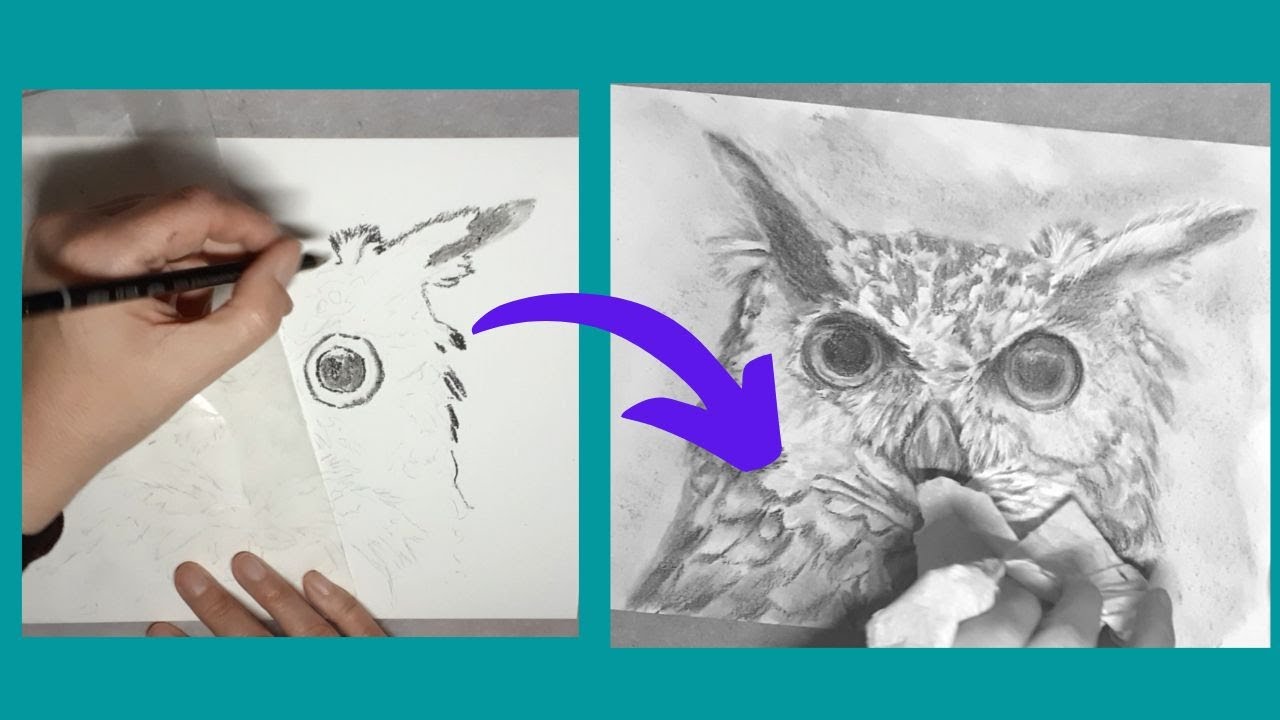 Charcoal Owl - Time-lapse Drawing