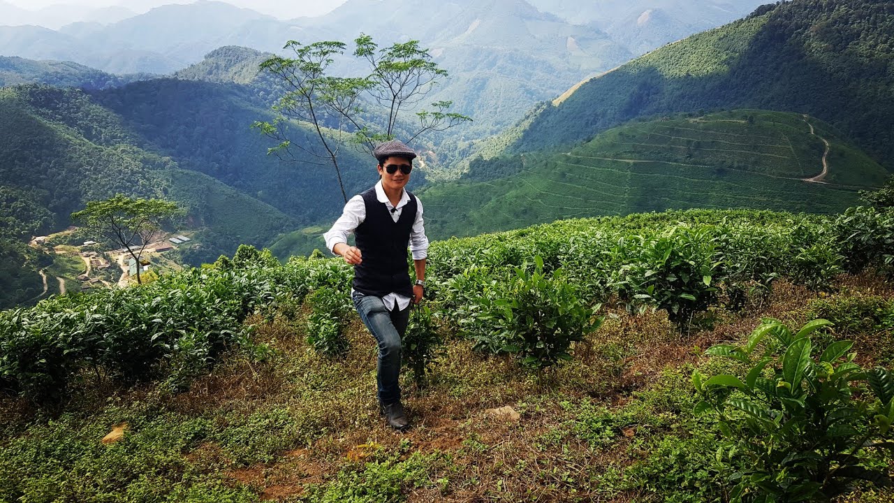 Siru Rijo l Valley of Tea Garden l #teagarden #yomcha #westsiang #arunachalpradesh, #akatanatara
