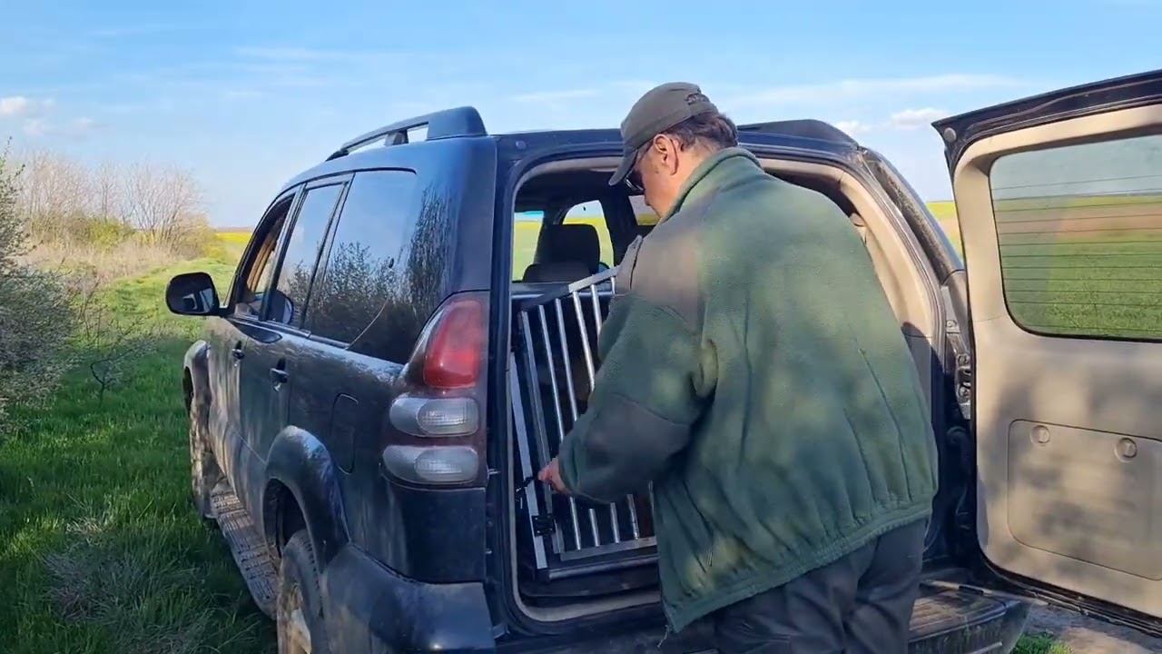 Aport pierdut, la camp si la padure.