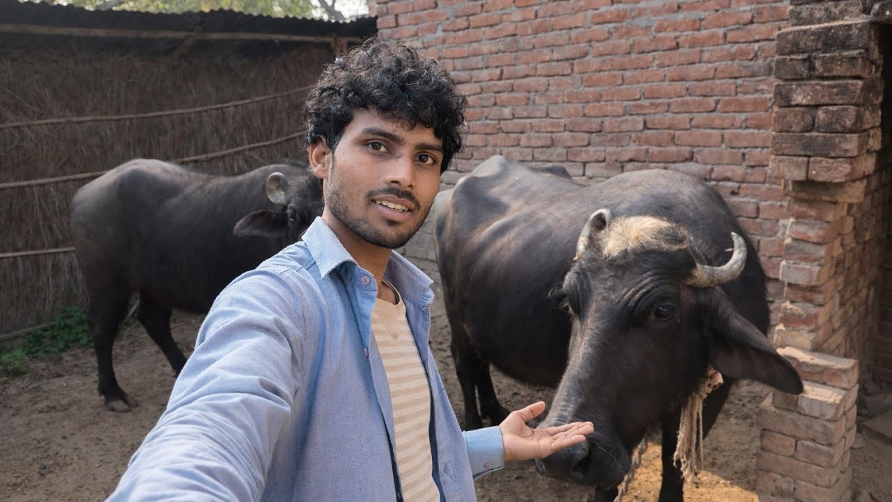 Mera Aane Wala Future Hai Ye Bhaush ☺️ | Village Life Vlog 