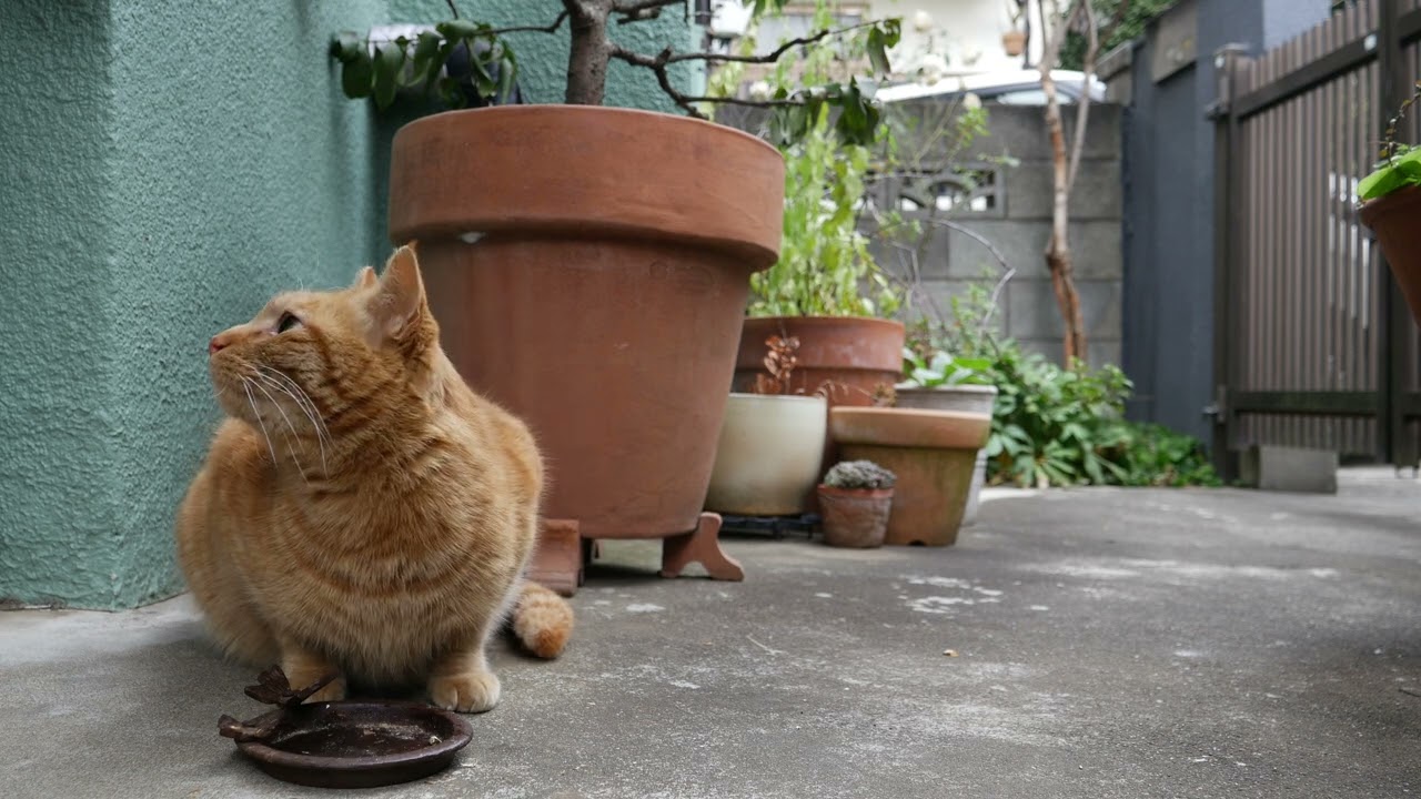 2026年01月26日15時59分