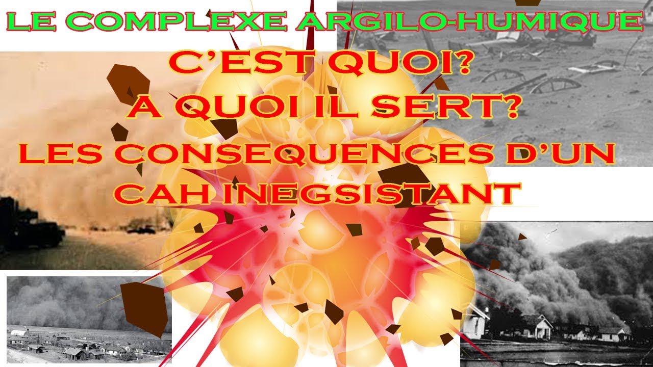 LE COMPLEXE ARGILO HUMIQUE