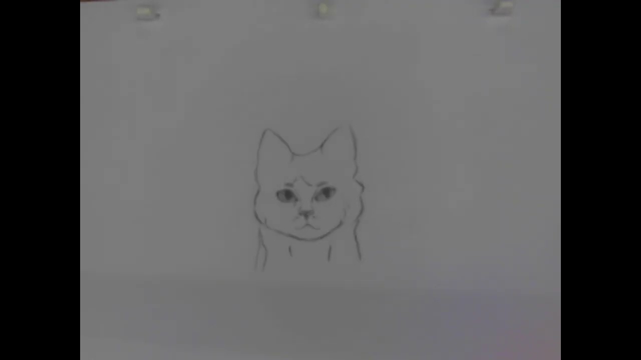 Dynamic design morph