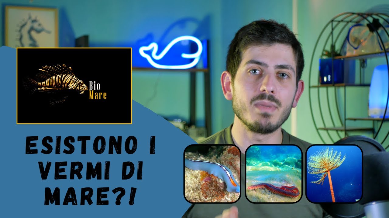 ESISTONO I VERMI NEL MARE? - PLATELMINTI E ANELLIDI - BIOMARE #12- SUB H2O