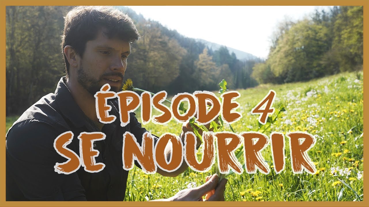 COMMENT SURVIVRE AVEC RÉMI : Se nourrir