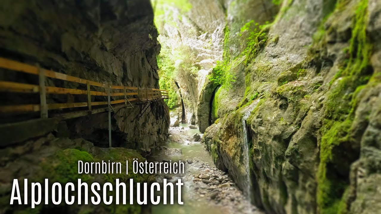 Spektakuläre Schlucht in Dornbirn / Ebnit | Alploch | 𝖵𝗈𝗋𝖺𝗋𝗅𝖻𝖾𝗋𝗀 / 𝖠𝗎𝗌𝗍𝗋𝗂𝖺 | 4K