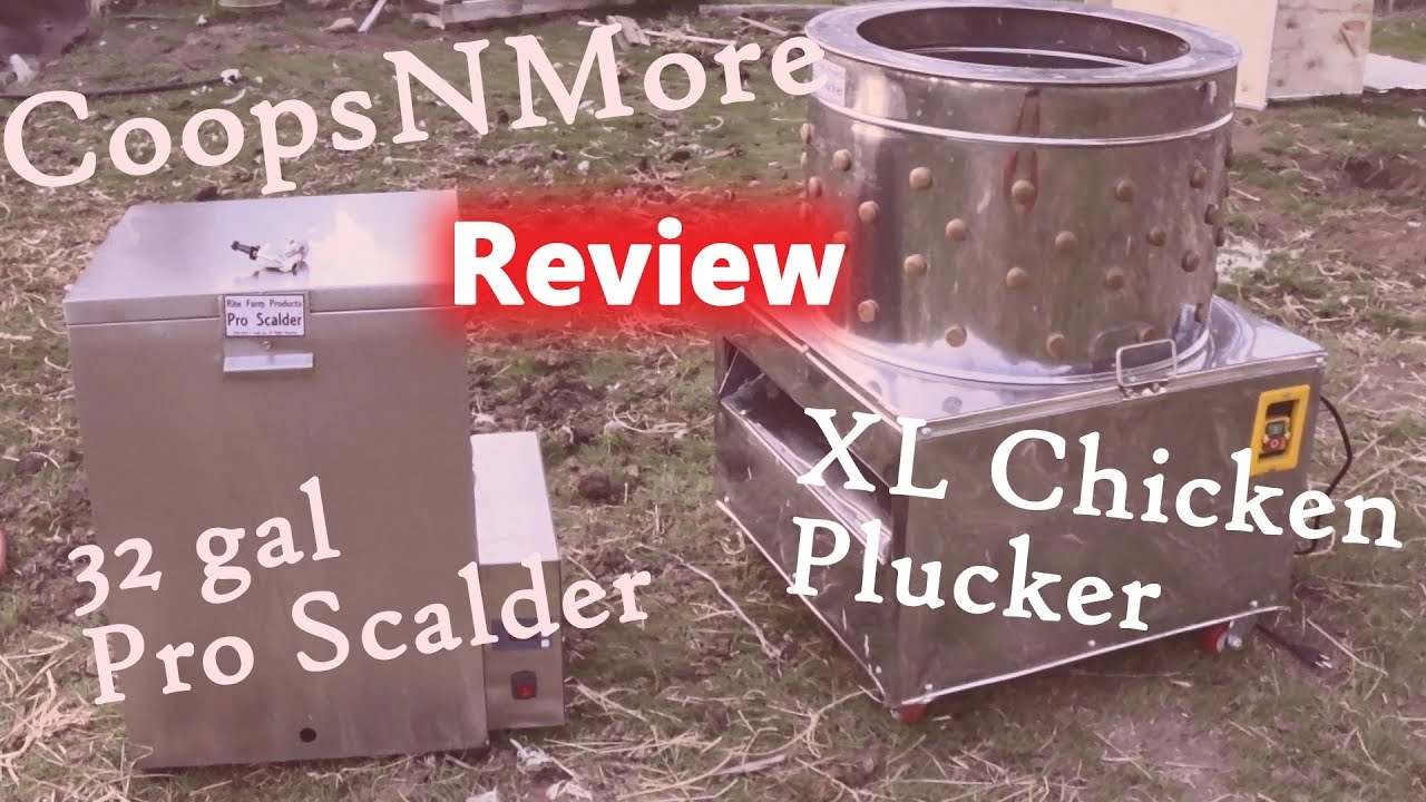Coopsnmore Chicken Plucker and Pro Scalder - Unboxing and First Use