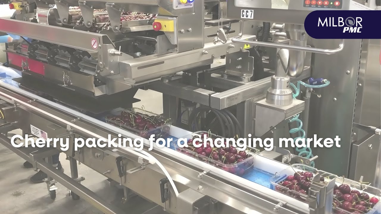 Cherry packing for a changing market | Milbor PMC