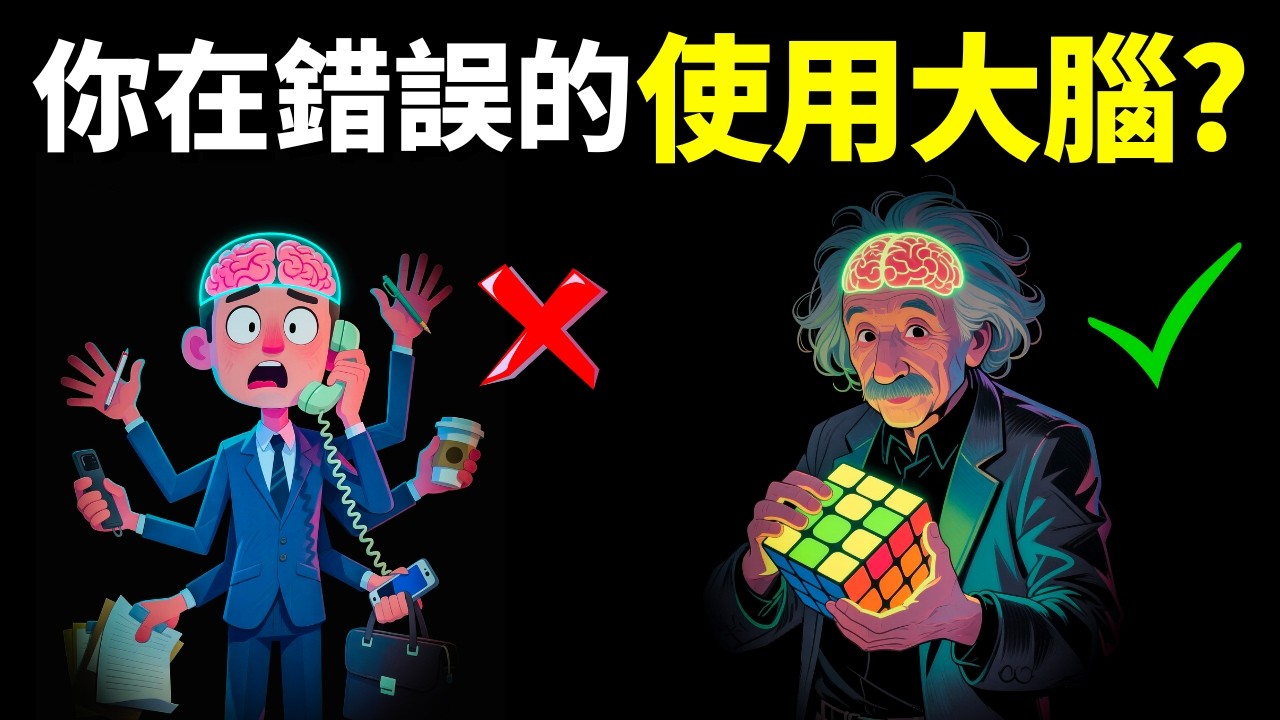 大腦的效率:人們在錯誤的使用大腦 | 暢銷書解讀《效率腦科學》(讀書,自我提升,有聲書,書評,人生智慧)