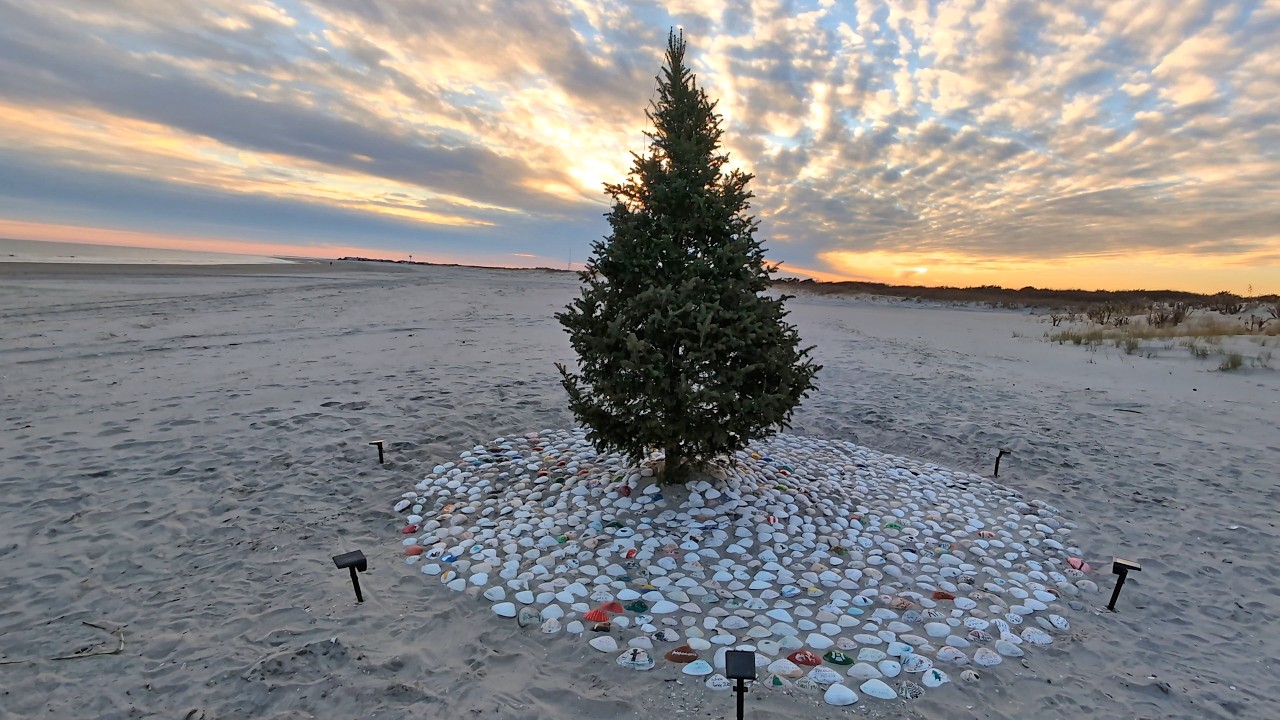 Christmas Trees on the beach! A neat Jersey Shore tradition!