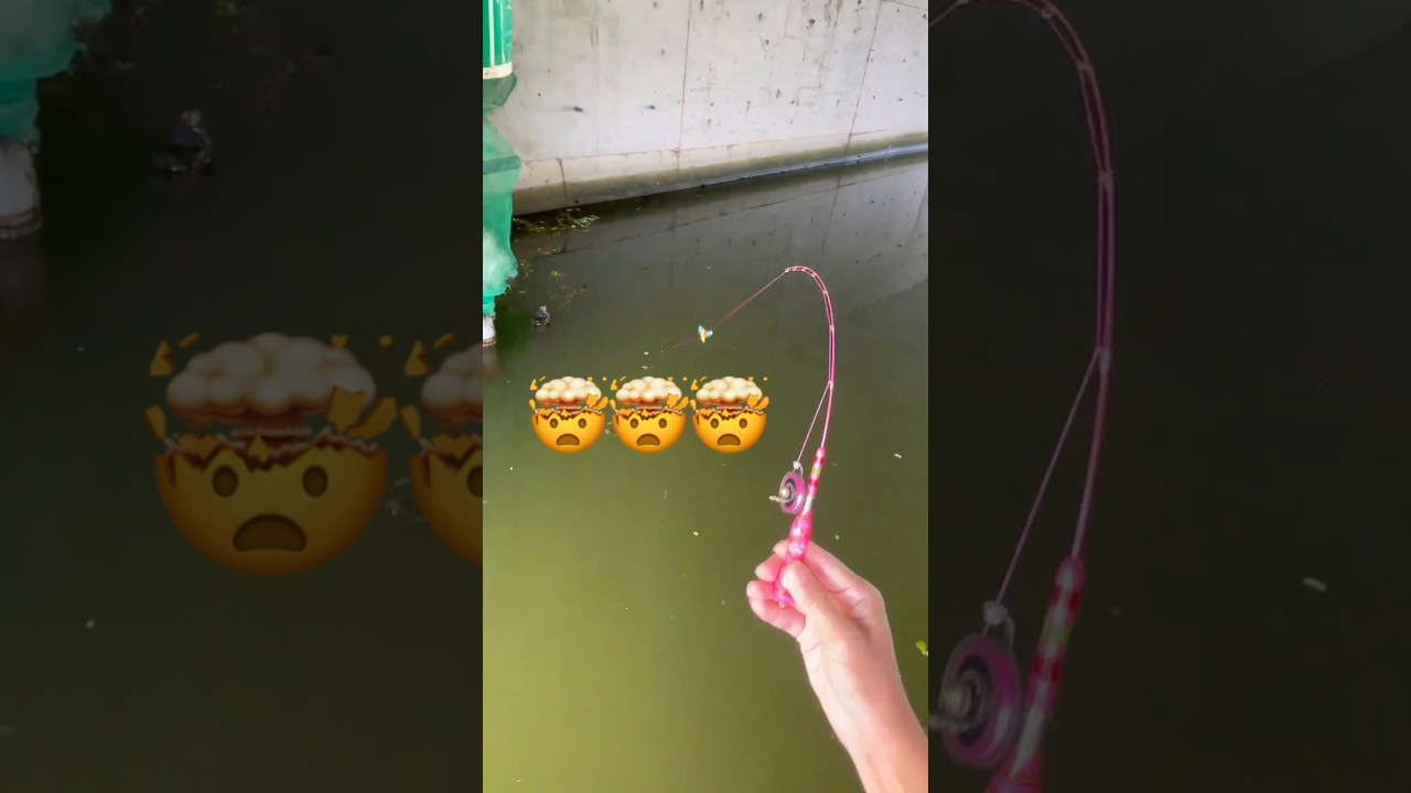 Mini Pink Fishing Rod Reel #fishing #cauca