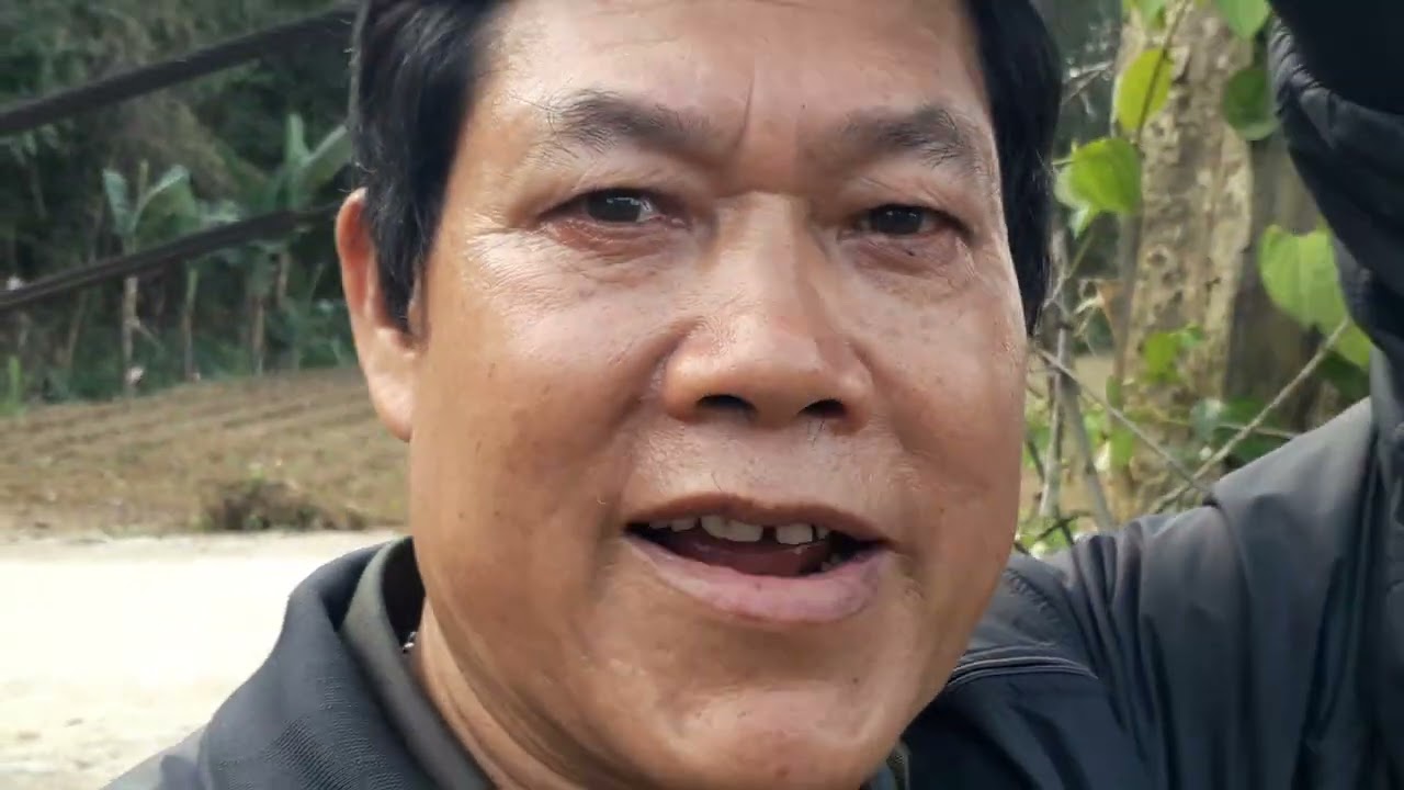 Cầu treo mã quan một dòng sông xanh mênh mông bát ngát hiền hòa cánh đồng ngô khoe sắc xuân