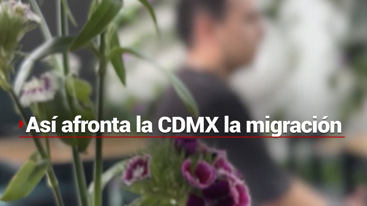 #RostrosMigrantes | Así afronta la CDMX el arribo de miles de migrantes