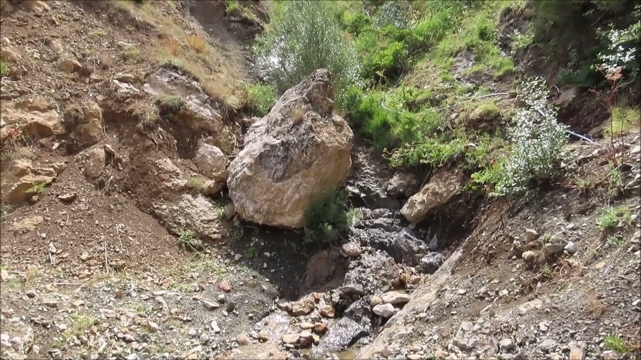 Kepez T. (2070 ve Tepel Tepesi (2030 m) arasındaki ormanlık alan. (4 Ağustos 2025)(Ulukışla, Niğde)