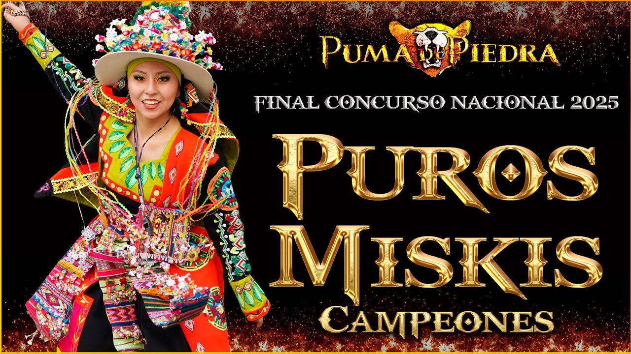 PUROS MISKIS / CAMPEONES CATEGORIA TINKUS / CONCURSO NACIONAL 2025 / PUMA DE PIEDRA