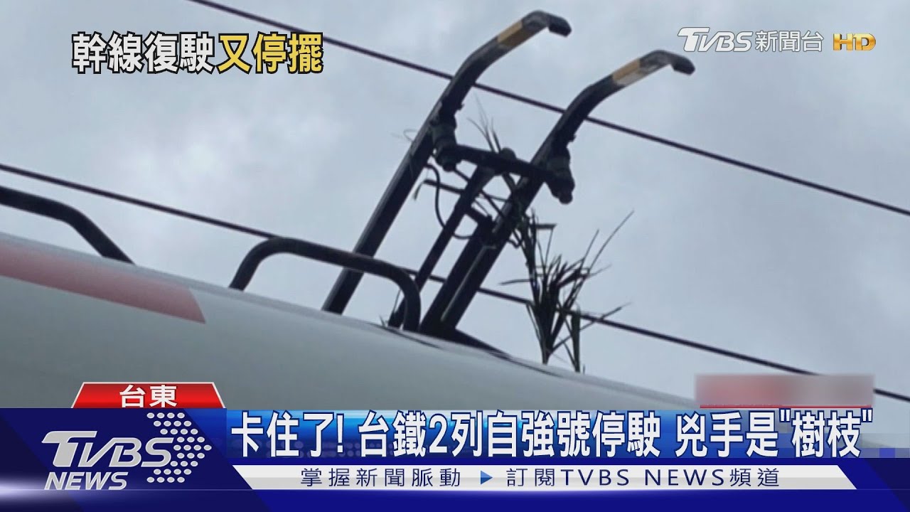 兇手都是「它」 台鐵2列次自強號停駛　玉里車站接駁人潮爆｜TVBS新聞 @TVBSNEWS01