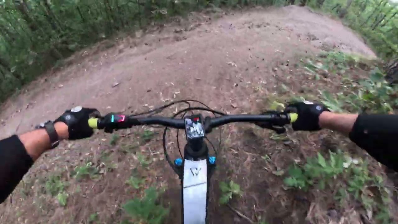 Panchi trail 05.09.2025