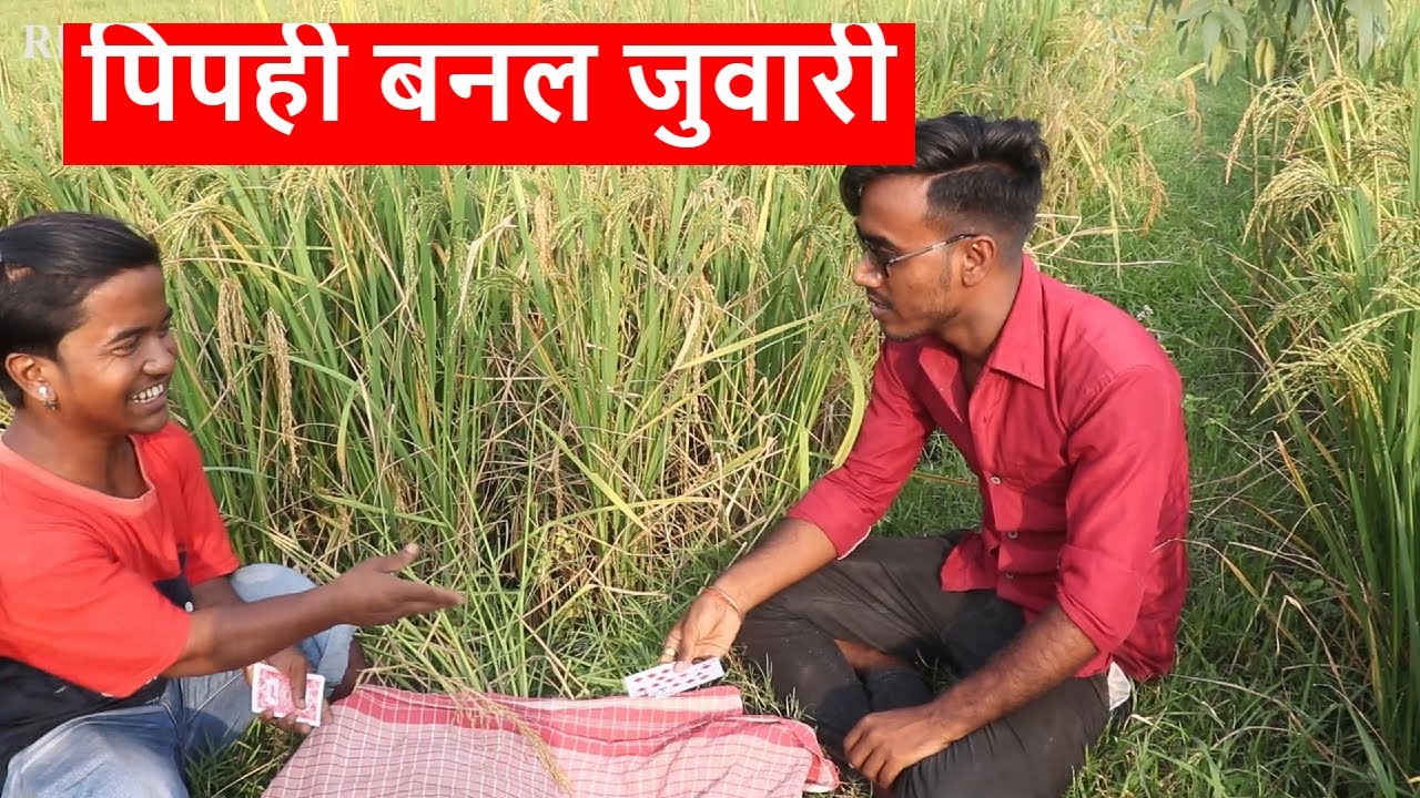 पिपही बनल जुवारी no .1  || maithili comedy ।। laduwa piphi comedy