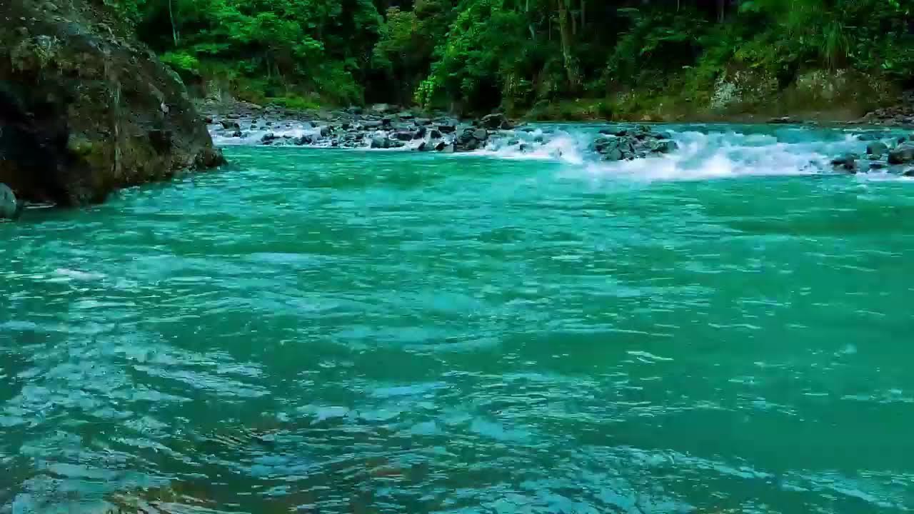 Forest Ambiance - Calm River Flow for Sleep and Relaxation