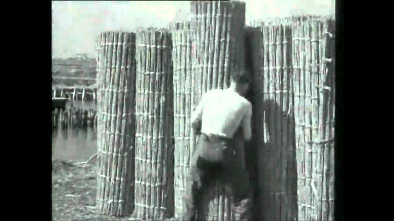 Le Valli di Comacchio, 1934