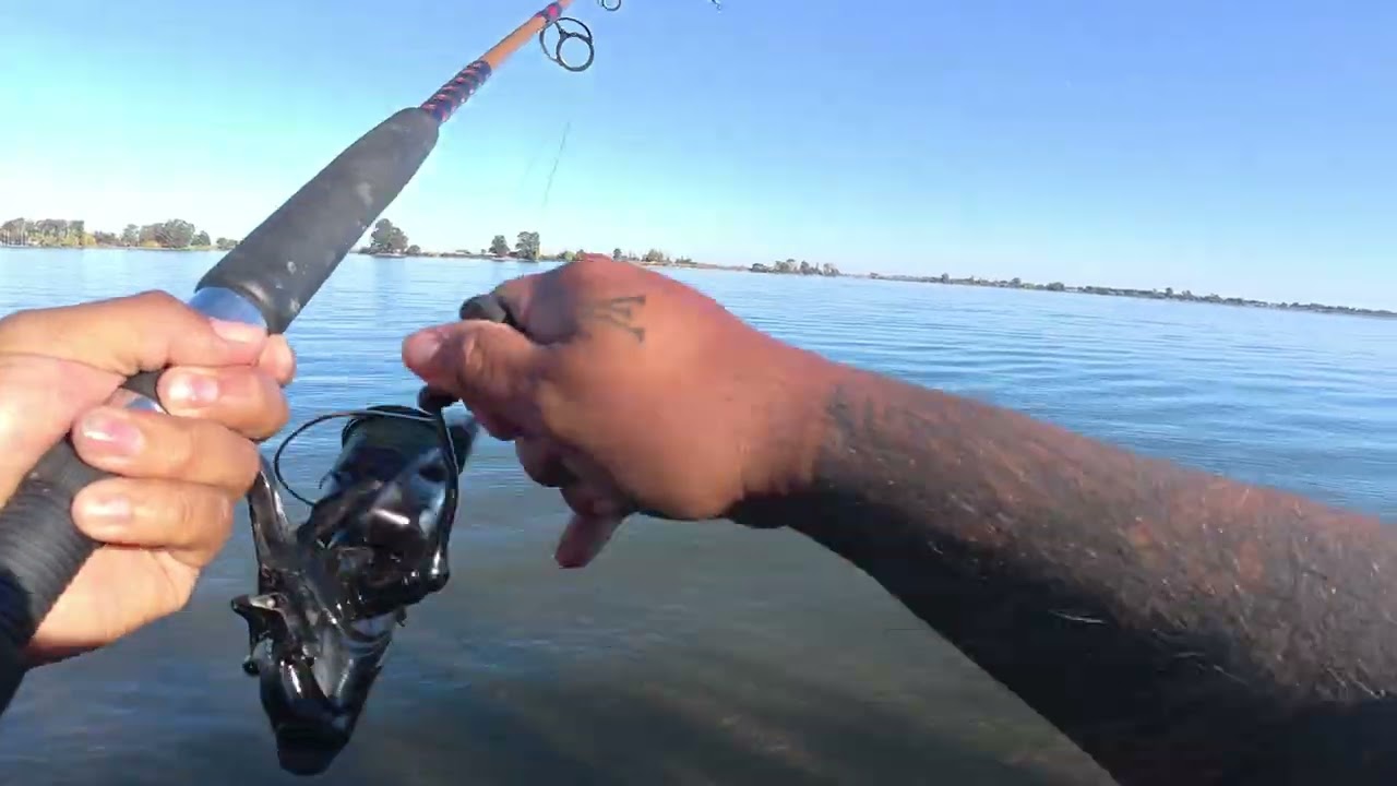 Rio Vista Fishing LIVE BAIT
