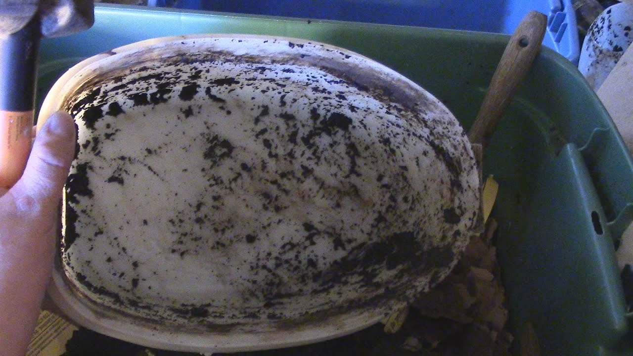 A Look and Feeding the Stackable Worm Bin #AZVlogger [Day 88] #LifeInAZ