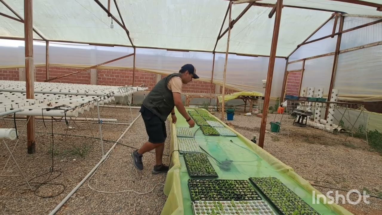 Áreas para las etapas de crecimiento en hidroponía