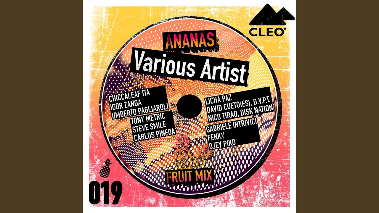 Solid Plane (Cleo Mix)