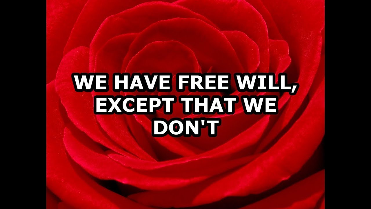 We Have Free Will, Except That We Don't