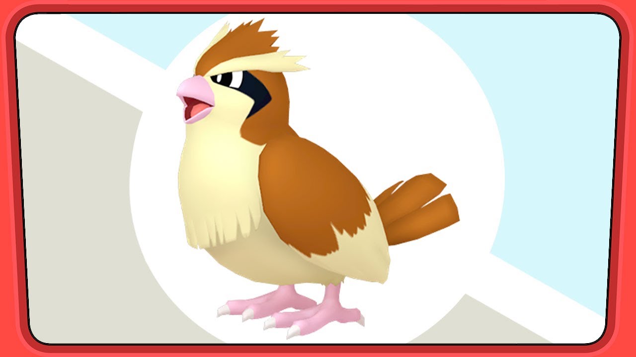 #016 Pidgey