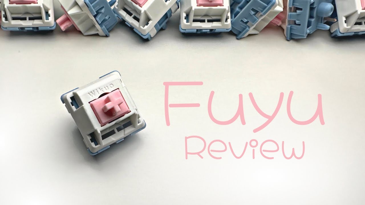 1 Min Switch Review - Moyu Fuyus