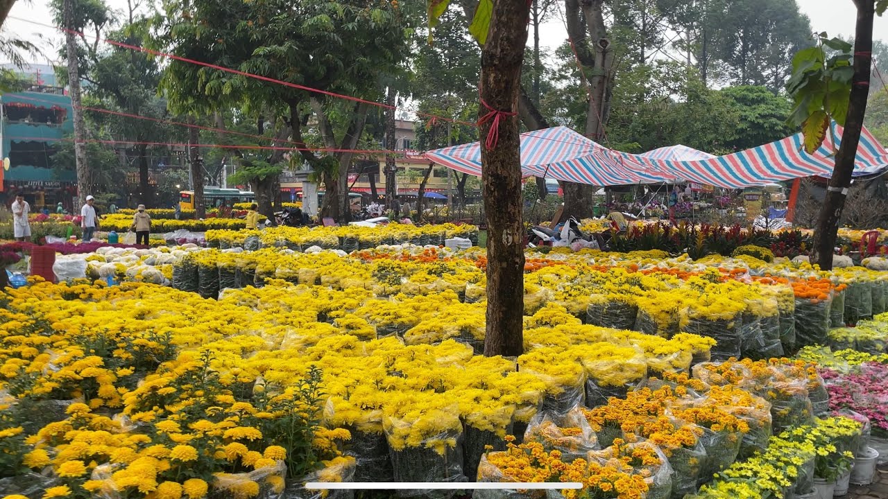 Flowers Market Tet&rsquo;s Holiday in Vietnam - Kh&ocirc;ng kh&iacute; chợ Hoa Xu&acirc;n tại S&agrave;i G&ograve;n những ng&agrave;y cận tết 2026