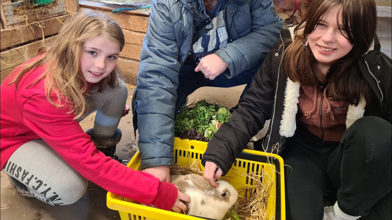 Reklame🌿Bedstemor Ann's BONDEGÅRD😀SER KANINER & LAM🐰🐑DEL 1.