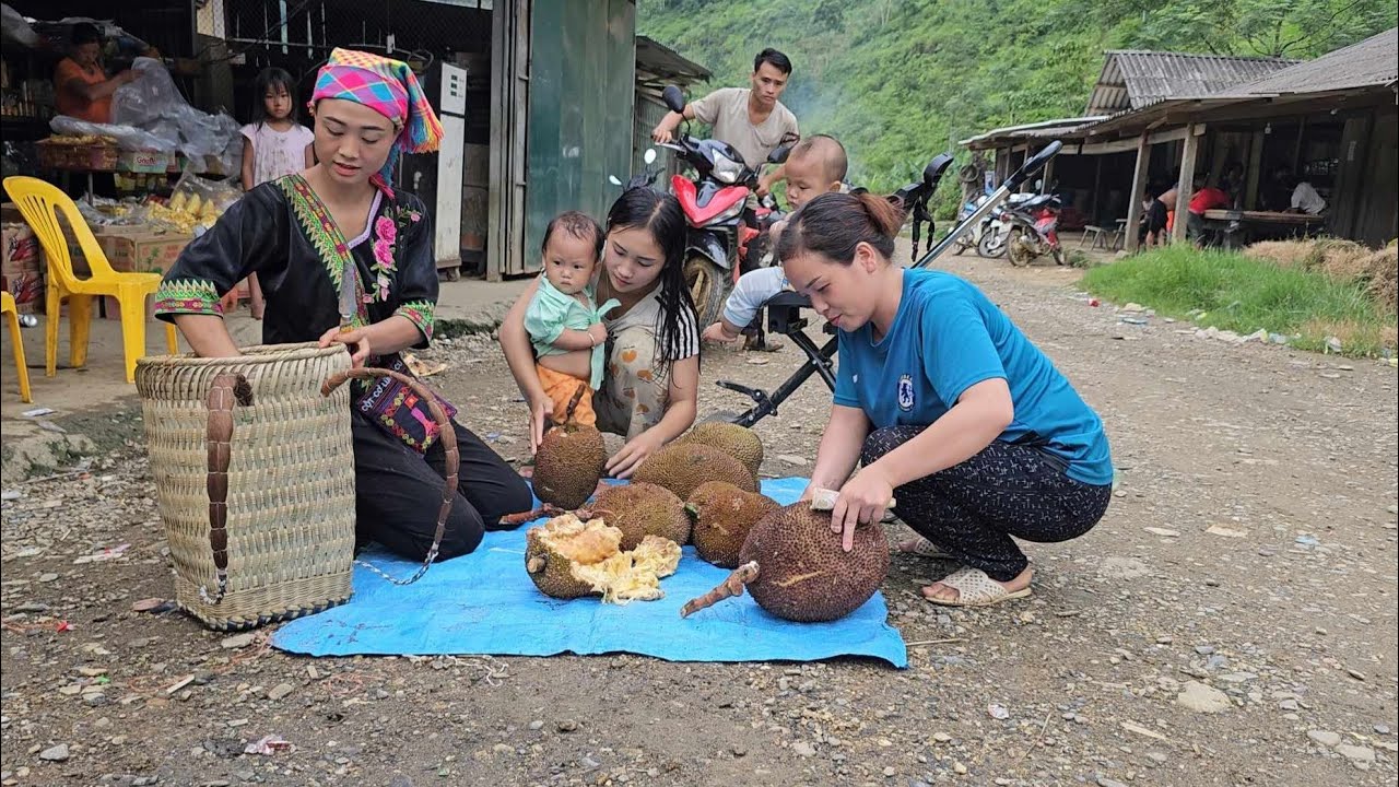 Harvesting Jackfruit For Sale At The Highland Market, anh hmong