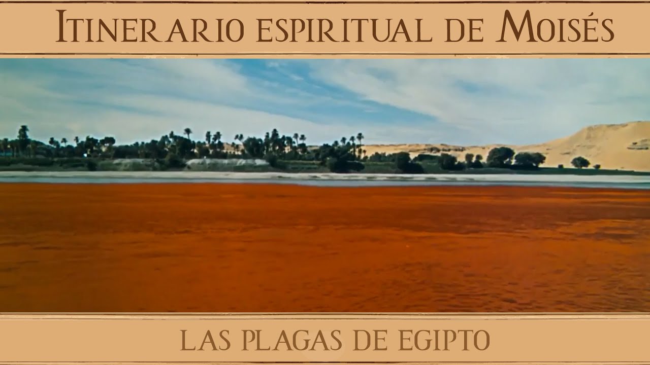 Las plagas de Egipto - Itinerario espiritual de Moisés (II)
