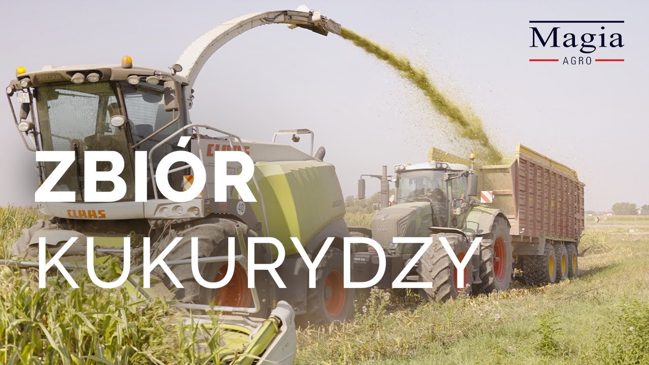 Odwiedzamy GR ZARĘBA | Jak zrobić kiszonkę wysokiej jakości? | Kukurydza 2023 [MAGIA AGRO]