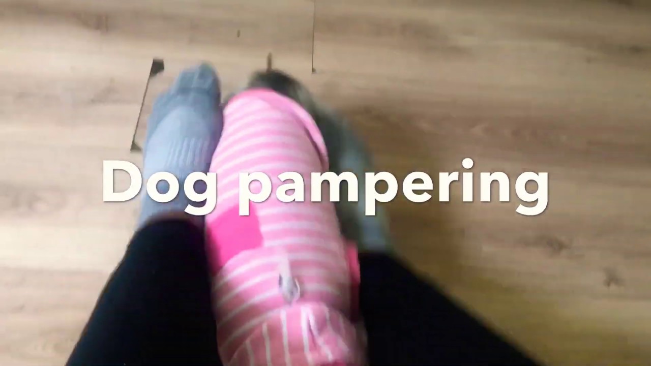 Dog foot massage pt2