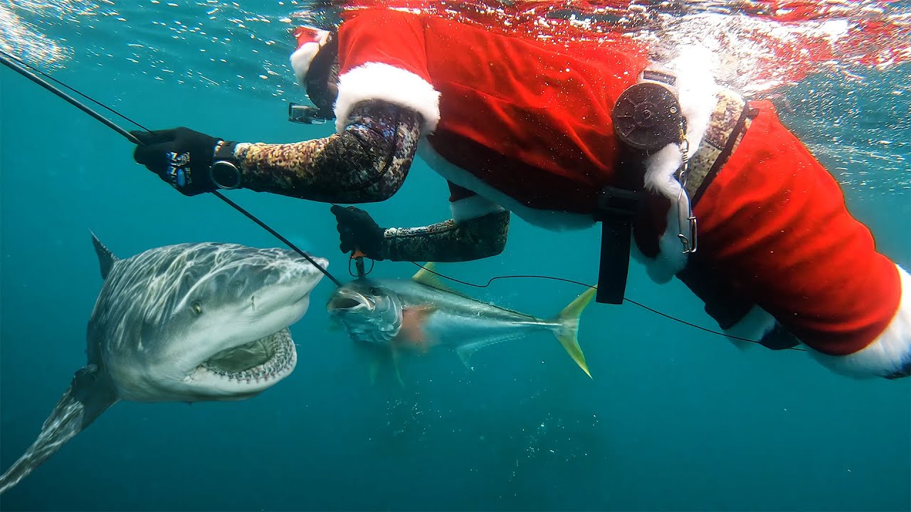 Shark Attack Santa Suit Spearfishing