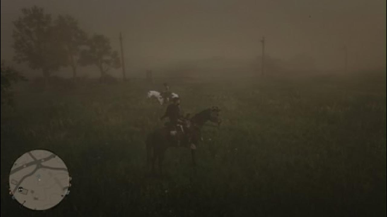 Red Dead Redemption 2 😂