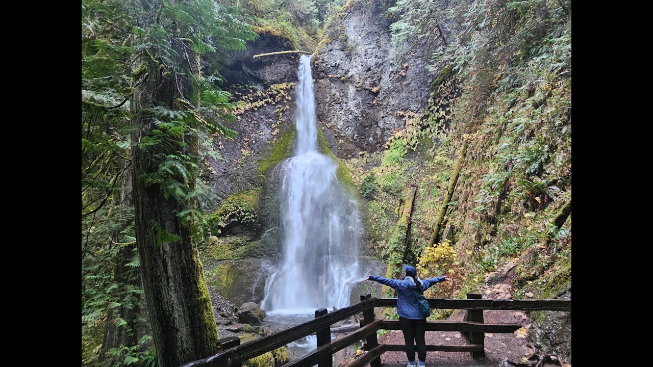 Marymere Falls Trail from Lake Crescent Lodge, Olympic National Park, Washington 11/15/2025