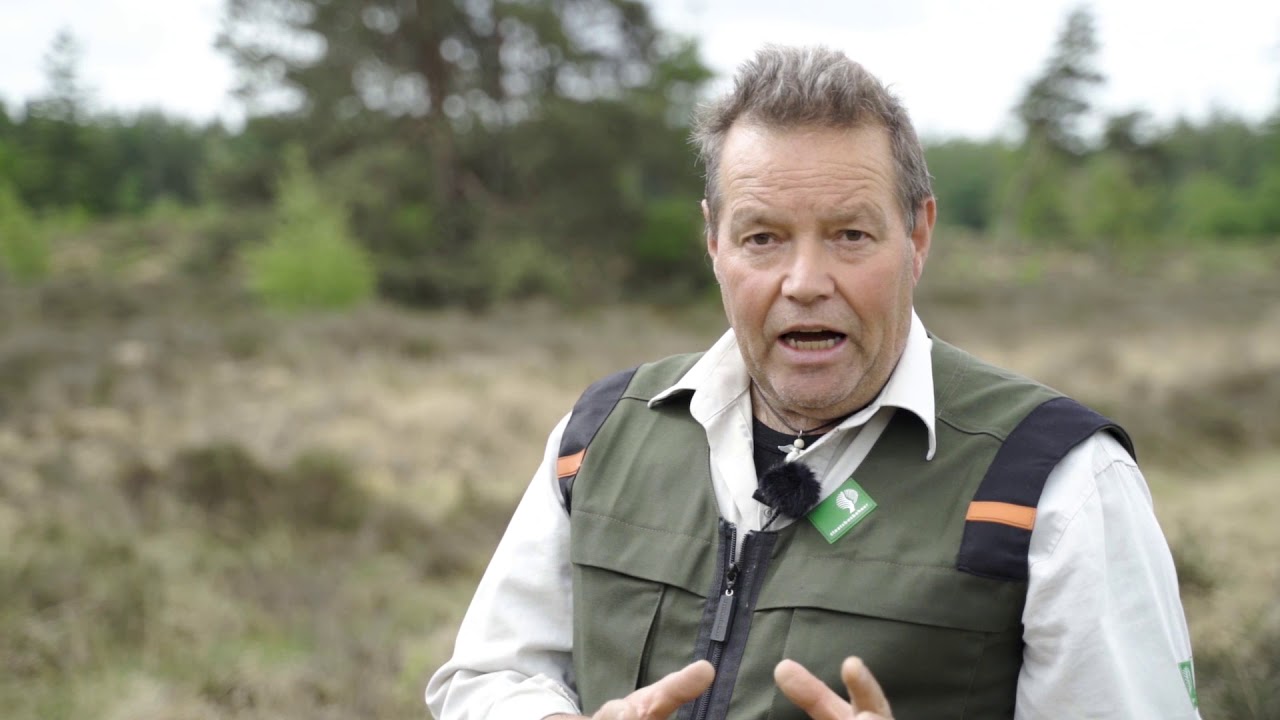 Vijf tips van de boswachter
