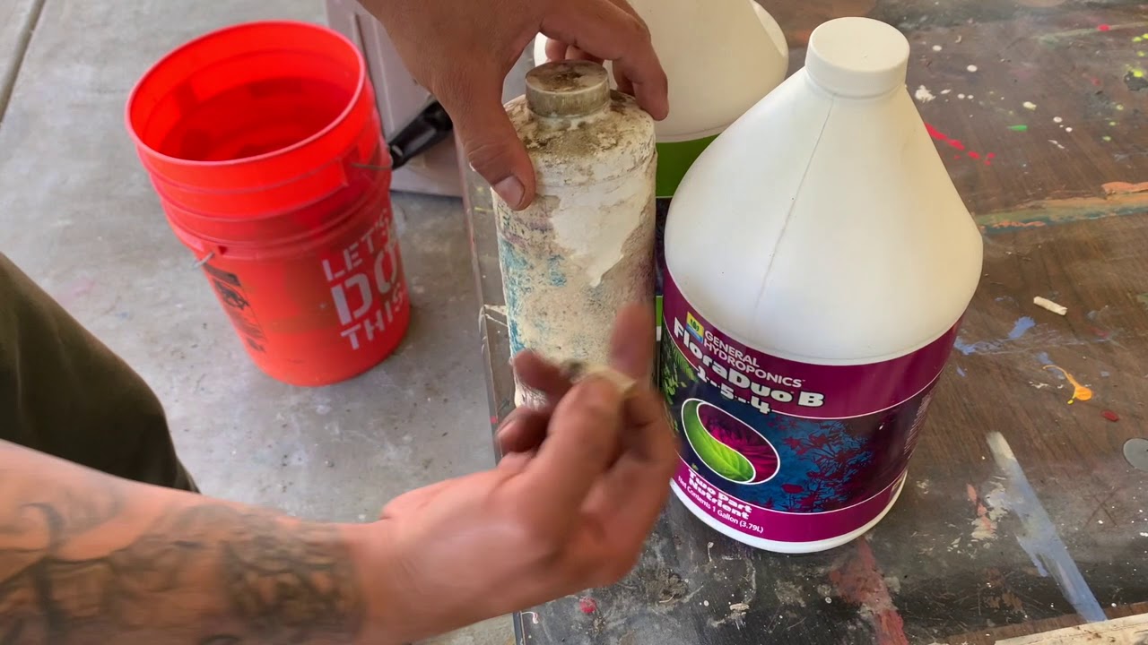 Transplanting My Cannabis Seedlings into 1-Gallon Pots