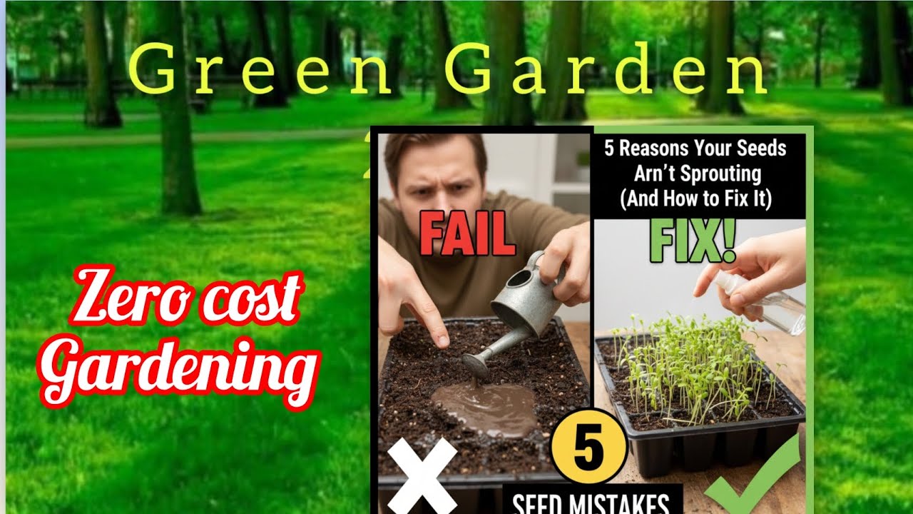 STOP killing your seeds! 5 common mistakes to avoid @GreenGarden-2025 