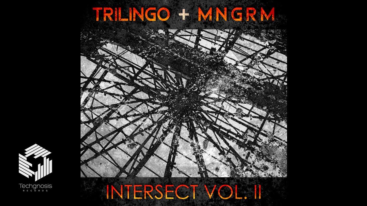 Trilingo - Kalix (MNGRM Remix)