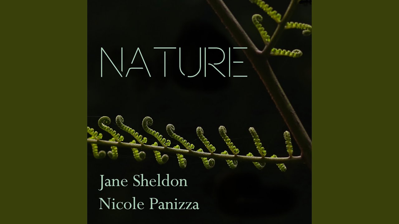 13 Ways of Looking at a Blackbird XIII