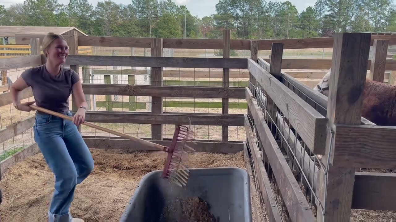 Barn Day 1/6